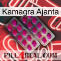 Kamagra Ajanta 10